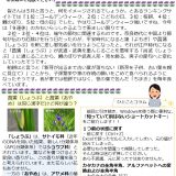 NSS通信を発行しました【2023年5月号】